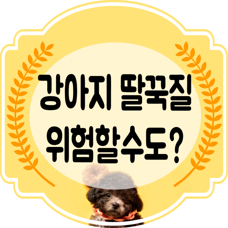  강아지 딸꾹질 위험할 수도 있다??