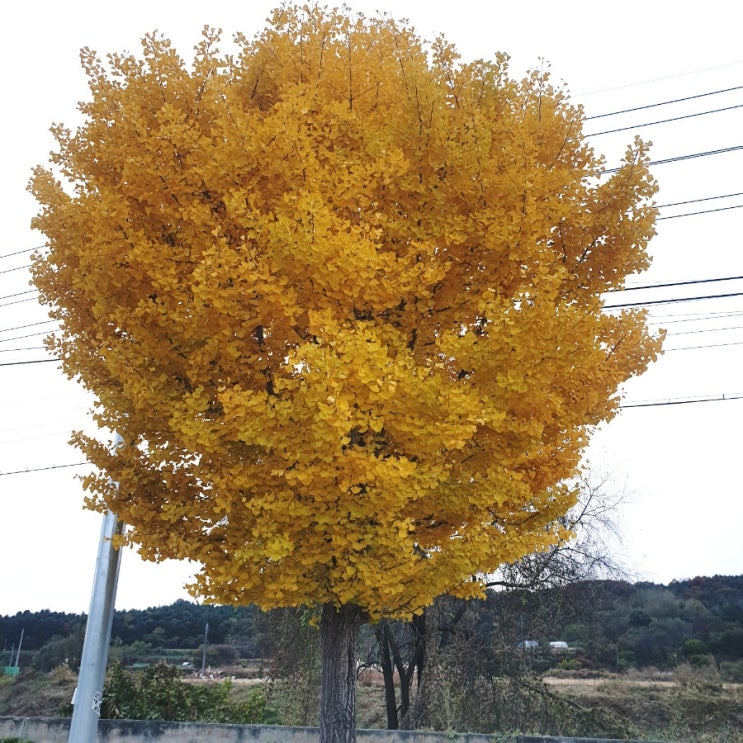  꺾이지 않는 마음