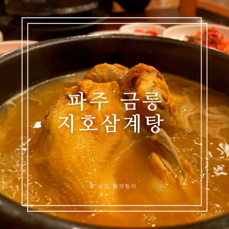  파주 금릉 지호삼계탕 금촌점 내돈내산 솔직후기