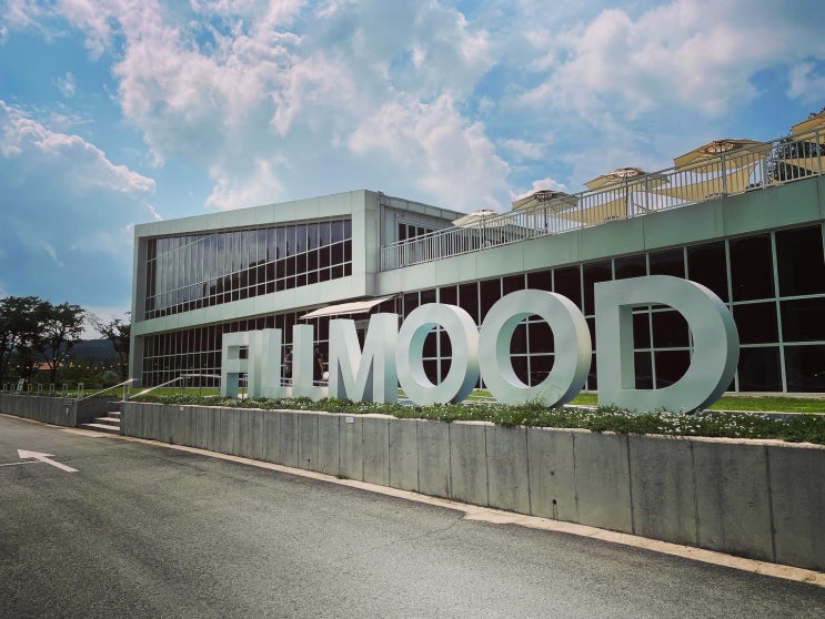  파주 대형카페 필무드(fillmood) 후기 내돈내산