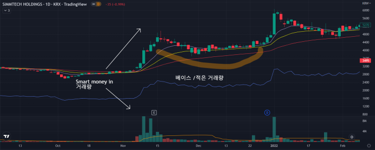  심텍홀딩스(21/12)