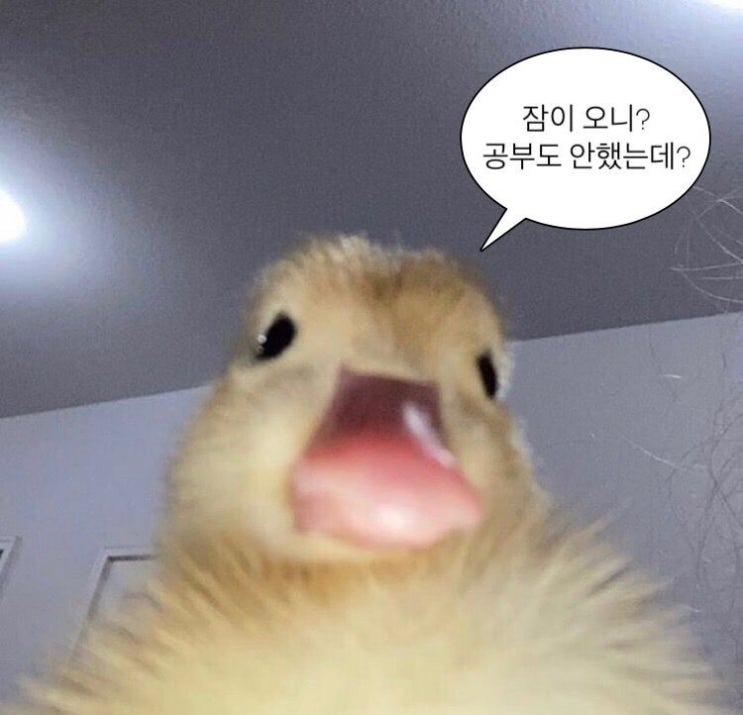  11/21-11/27 주간 일기