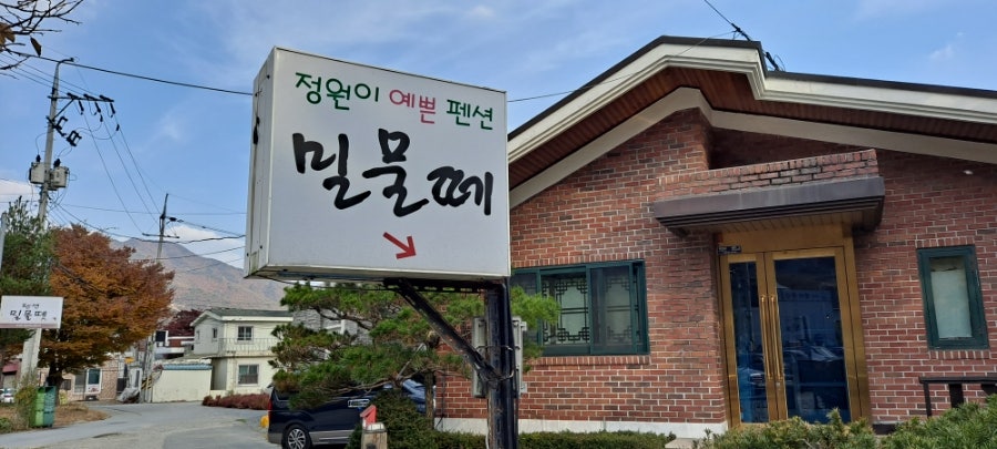밀물떼 사진 1