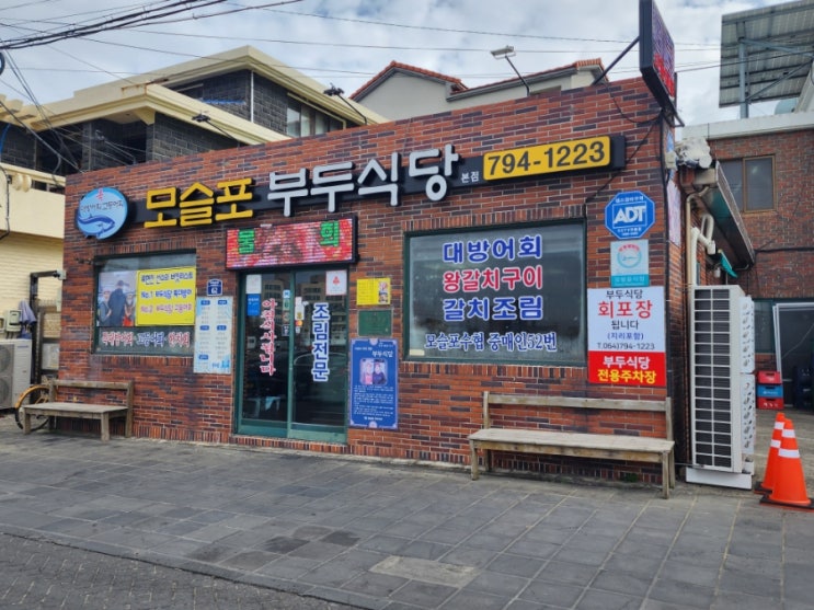  제주 모슬포항 부두식당 가족여행 왔는데 대방어 푸짐하고 맛있네요