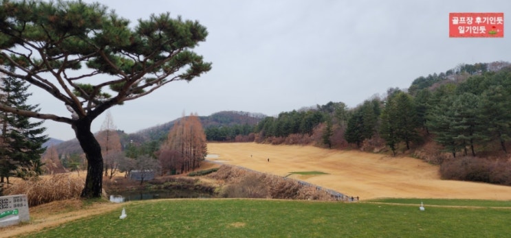  경기 용인 88CC 동IN코스 2022년 11월말 라운딩 후기