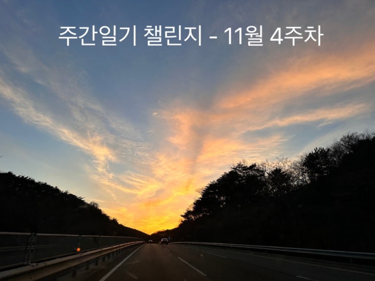  가지마 2022년아,,,,!!