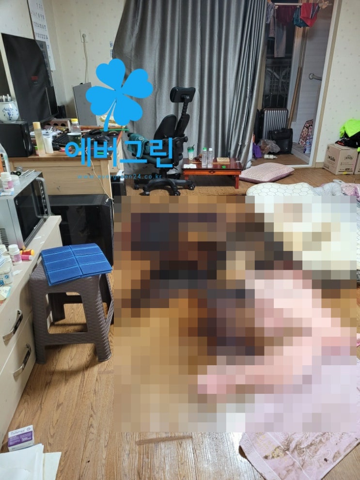  천안 오산 평택 고독사 청소 현장비용 특수청소 에버그린