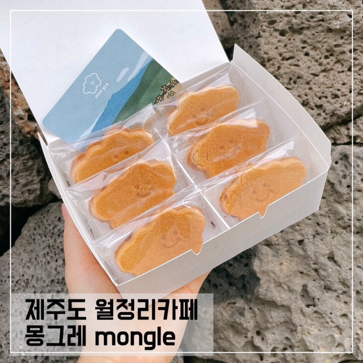  제주도 월정리카페 몽그레 mongle; 제주도여행 선물추천