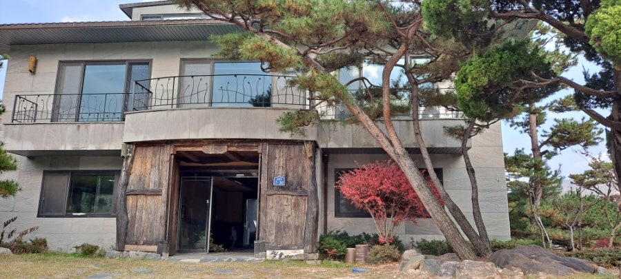 밀물떼 사진 4