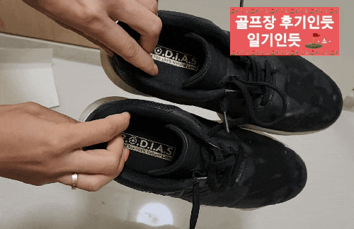  족저근막염방지 기능성신발깔창 추천(로디아스 천연라텍스 특수목적 깔창)