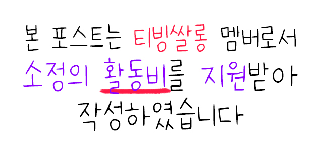  하루의 끝은 술로 기승전술 술꾼도시여자들2