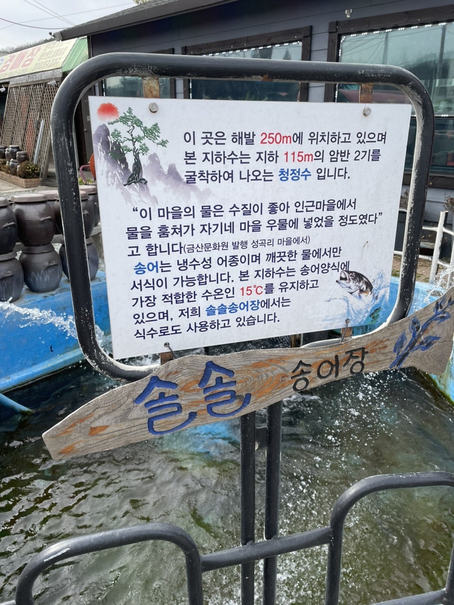솔솔송어장 사진 2