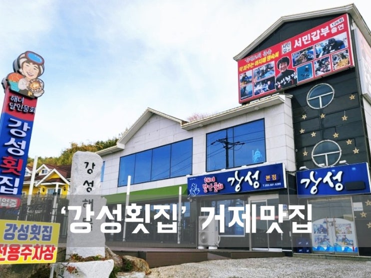  ㅣ거제 지세포 맛집ㅣ강성 횟집, 바다향 가득 품은 물회 맛집