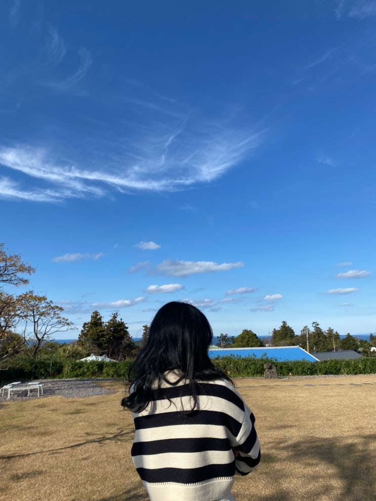 [주간일기] 제주카페, 소품샵 , 맛집 다 뿌신날 (풀고레, 수풀, 오롬마르, 테라로사, 크래커스, 커트러리, 커피템플, PP, 프란츠스토어, 아라서, 소리소문, 누옥,숙성도 등)