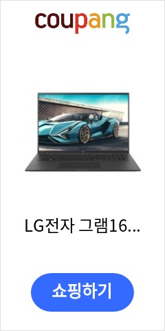  16ZD95P-GX5BK LG전자 그램16 Free DOS 옵시디안 블랙  256GB 코어i5  8GB 이가격에 이성능 실화?