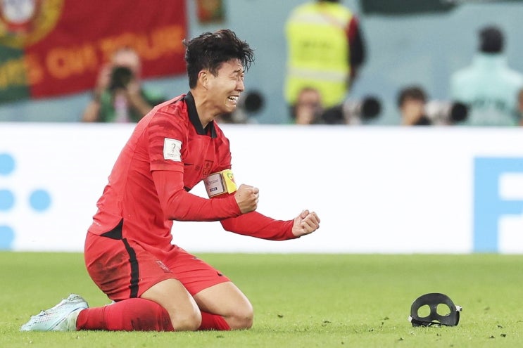 2022 <b>카타르</b> 월드컵 <b>16강</b> 대진표 <b>확정</b> 한국 진출 브라질... 