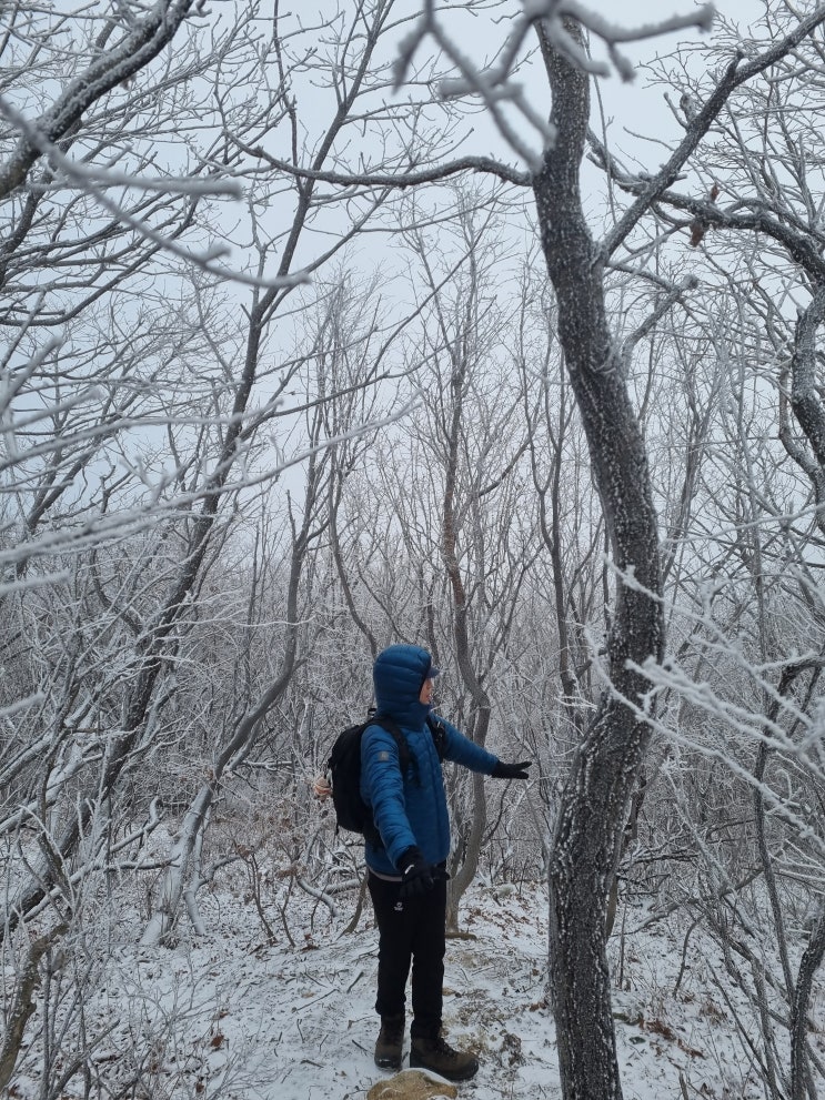  블랙야크 백두대간 선자령 등산 최단코스 겨울 산행 이야기 (대관령국사성황사, 상고대)