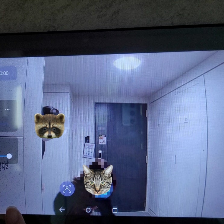  감사한 11월 마지막주