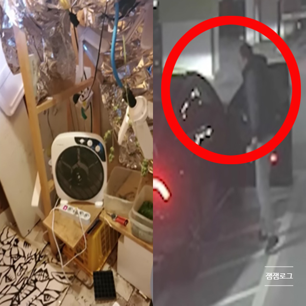  남양유업 손자 재벌 3세 3인조 가수 안모씨 마약 스캔들 정리