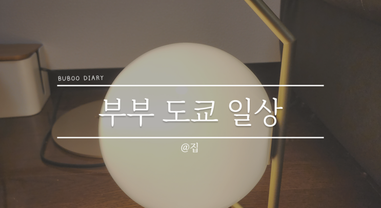  영희부부 일상#13 2022.11.28 월요일 - 플로스(FLOS) C1 조명 이탈리아에서 직구 후기