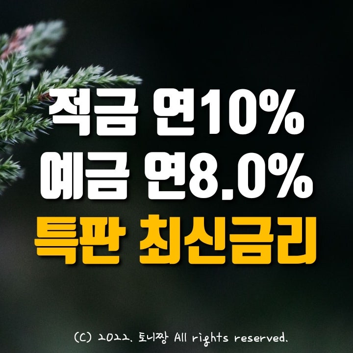 적금특판 연10%, 예금특판 연8.0% 초량4동새마을금고, 가락새마을금고