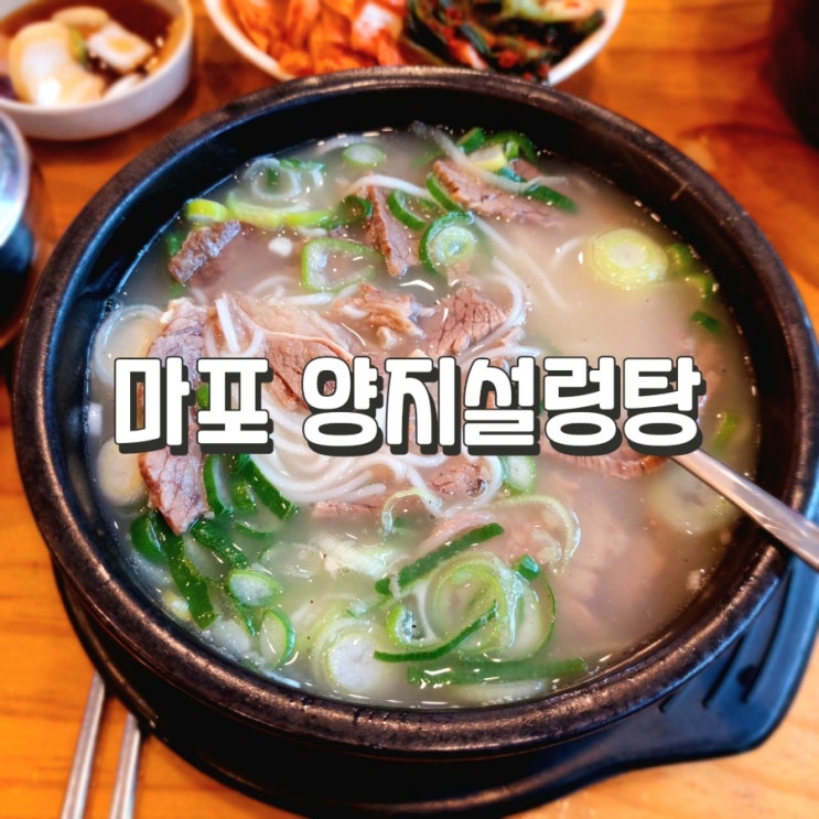  마포 양지 설렁탕