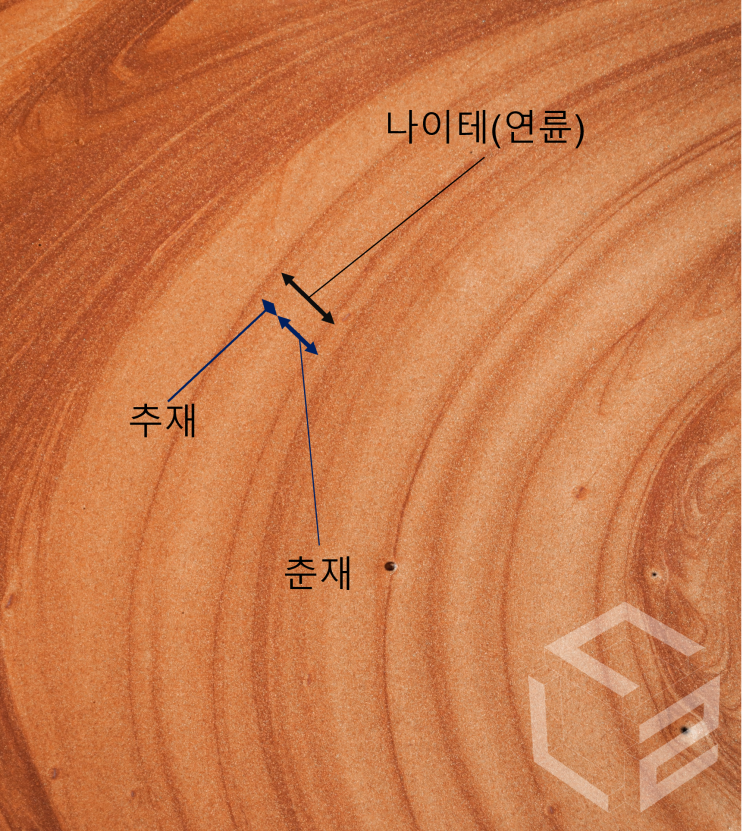  [문화재 보존과학] 비파괴검사법, 연륜연대법, 연륜연대 분석