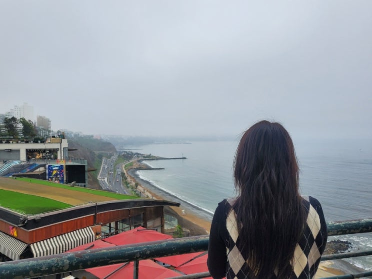  우하하하 언빌리비버블 나의 하루 옆에는 내 집사 동반
