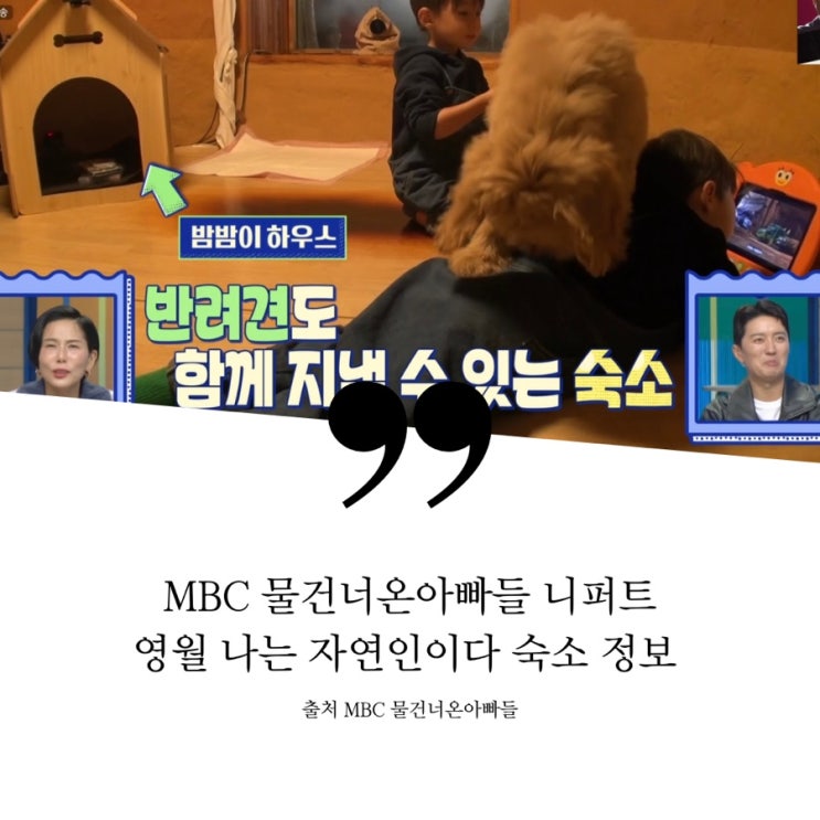  물건너온아빠들 더스틴 니퍼트 나는자연인이다 in 영월 숙소 정보 영월 초가집 숙소 반려견 동반 가능 숙소 초가집 아궁이 장작