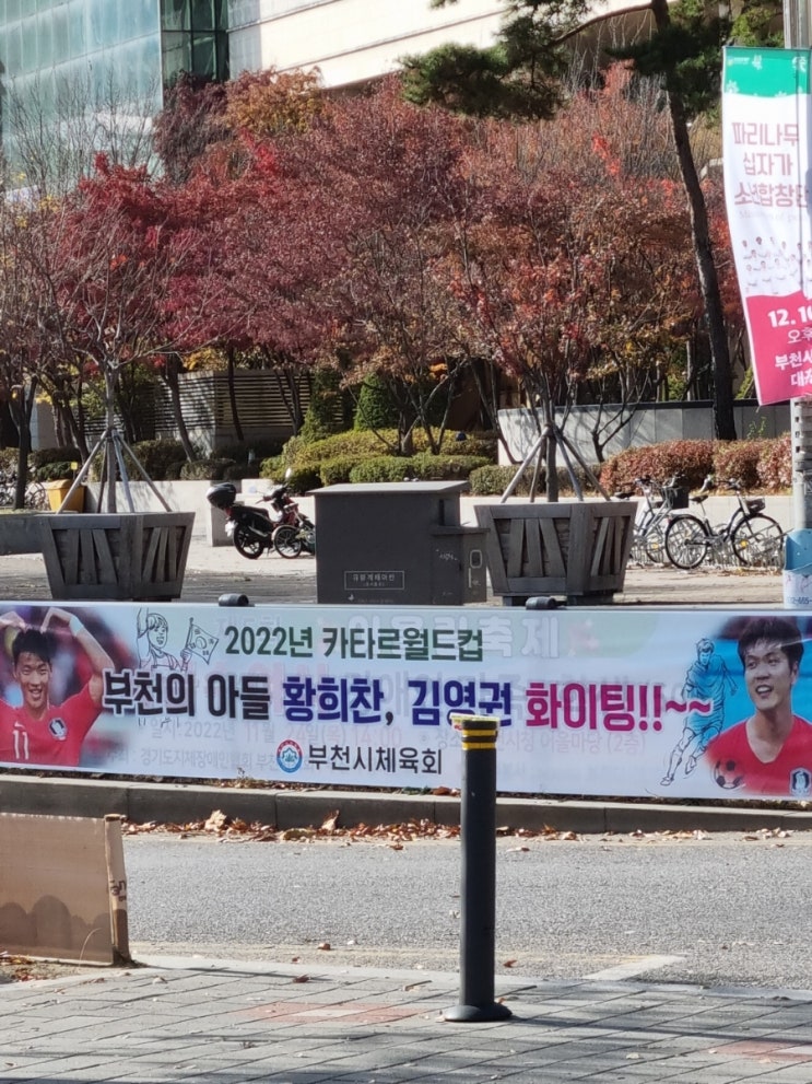  11월4주차/대한민국 16강진출 기다려지는 브라질전