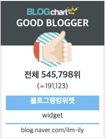  [나만의 챌린지] 블로그 1일1포스팅 20일차 후기
