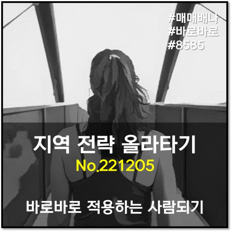 바로바로 지역전략 233층 한방에 올라타기 (221205)