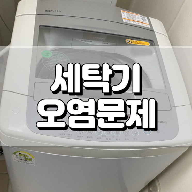 세탁기 곰팡이제거 전문업체 울산 래핑홈케어!!