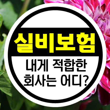  40대실비보험 나에게 적합한 회사를 선택하려면?