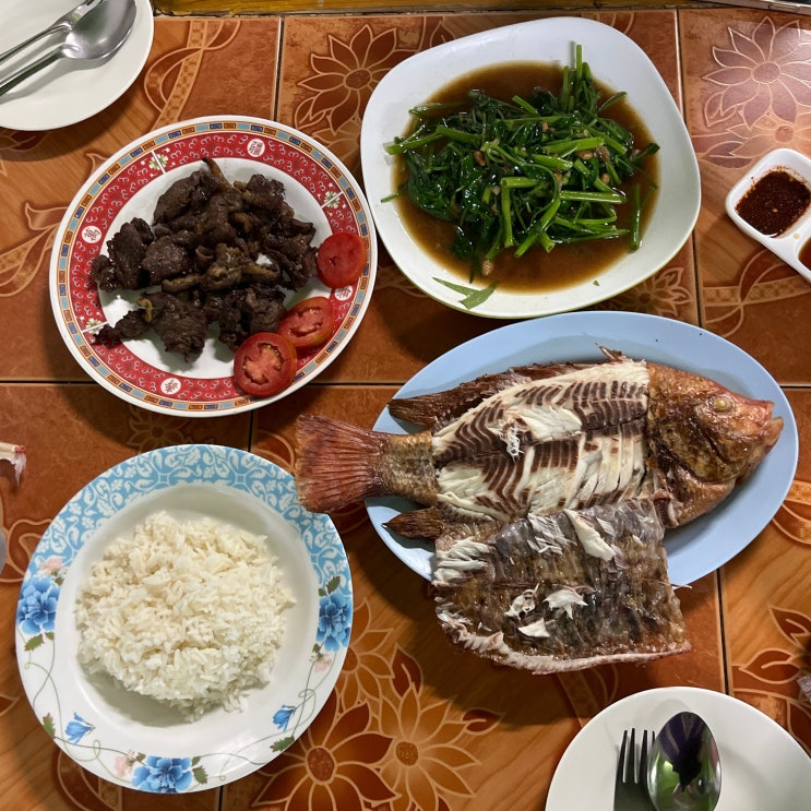  치앙마이맛집 치앙마이 한국인 만남의광장 올드타운맛집 럿롯
