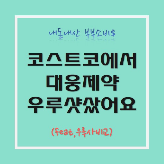  대웅제약 우루샷 구매 (feat,우루사 비교및 가격)