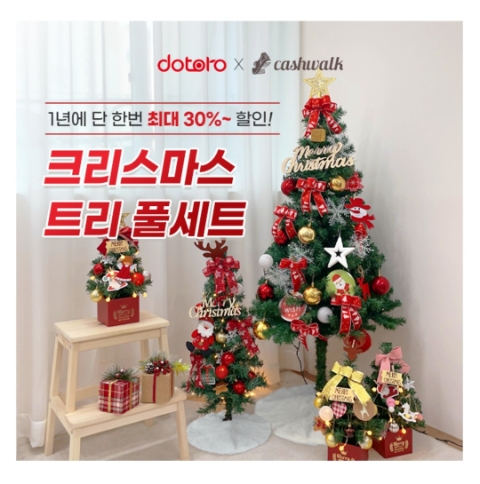  12월 5일 캐시워크 돈버는퀴즈 도토로 크리스마스 트리 정답