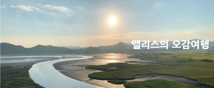 앨리스의 오감여행 소개 앨리스의 오감여행 소개