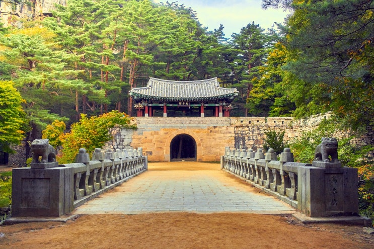 문화재보존학과 학과특성과 졸업 후 진출 분야 문화재보존학과 학과특성과 졸업 후 진출 분야