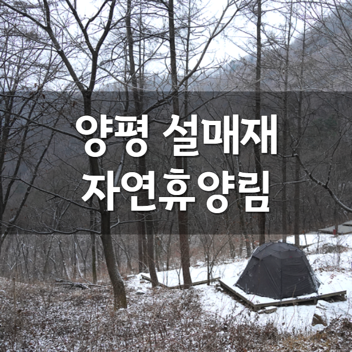 서울근교 양평 설매재자연휴양림 캠핑장에서 설영캠핑. 화목난로 가능