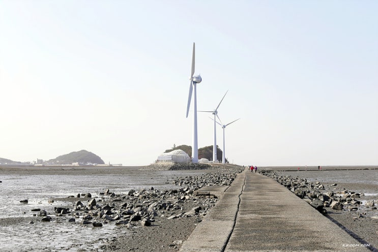 안산 대부도 탄도항 누에섬 물때, 등대전망대 - 서해 일몰 명소 안산 대부도 탄도항 누에섬 물때, 등대전망대 - 서해 일몰 명소