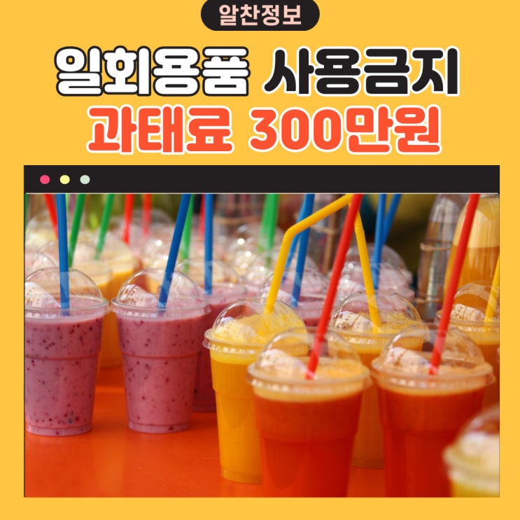  11월부터 시행되는 일회용 플라스틱 사용금지 시행 과태료 300만원!!