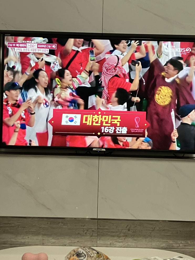  [블챌][주간일기] 대한민국 16강 진출!!!