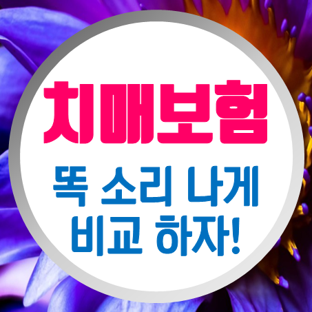 경증치매보험 똑 소리 나게 비교하고 싶을 때!