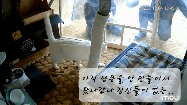  내돈내산 : 옥수 쉼터 문과 창을 각목과 방풍비닐로 다시 만들어줬어요 : 고양이 겨울집 고양이 쉼터