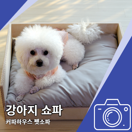 강아지 쇼파 커파하우스 예쁜 애견 소파 강아지 쇼파 커파하우스 예쁜 애견 소파
