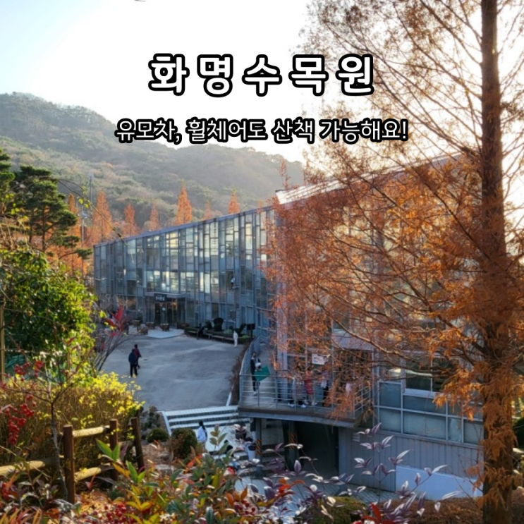  아이 연인 가족과 방문하기 좋은 화명수목원