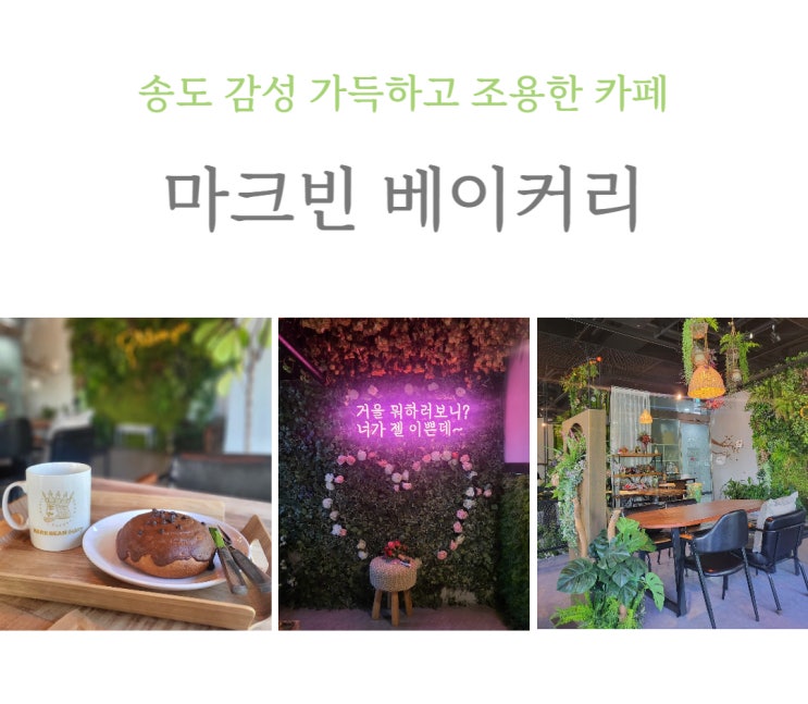  송도 꽃이 가득한 감성 카페 '마크빈 베이커리' 송도 조용한 카페 추천, 내돈내산