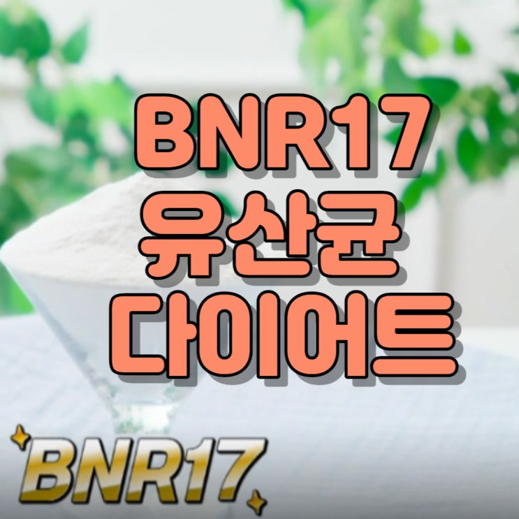  유산균 다이어트 BNR17 효능 효과