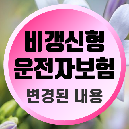  비갱신형운전자보험 (변경된 형사 공탁금 선지급 및 변호사 선임비용 경찰 조사 불송치 포함)